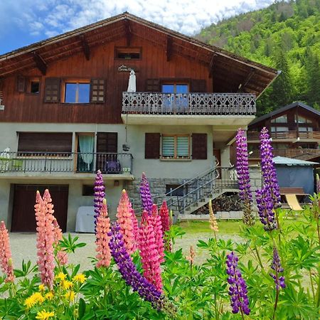Appartement Meuble Classe 3 Etoiles De 72 M2, 2 Chambres Morzine Esterno foto
