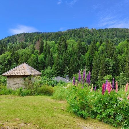 Appartement Meuble Classe 3 Etoiles De 72 M2, 2 Chambres Morzine Esterno foto