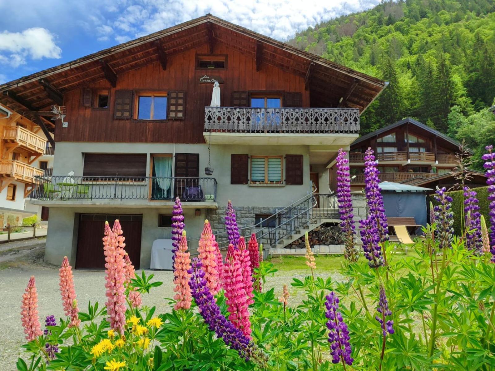 Appartement Meuble Classe 3 Etoiles De 72 M2, 2 Chambres Morzine Esterno foto